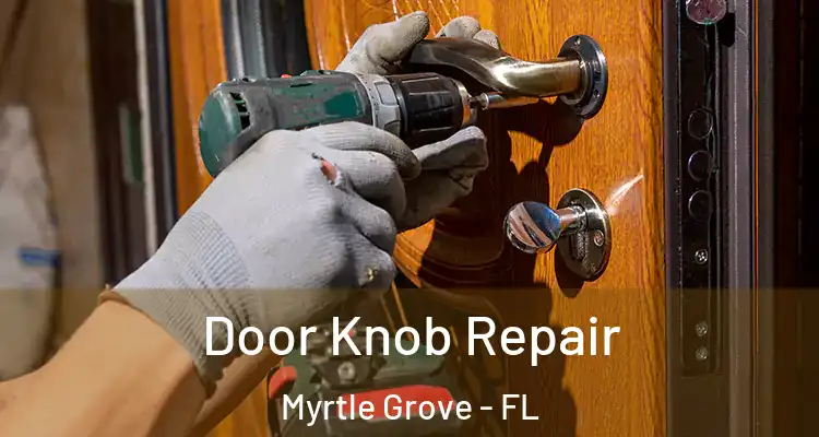  Door Knob Repair Myrtle Grove - FL