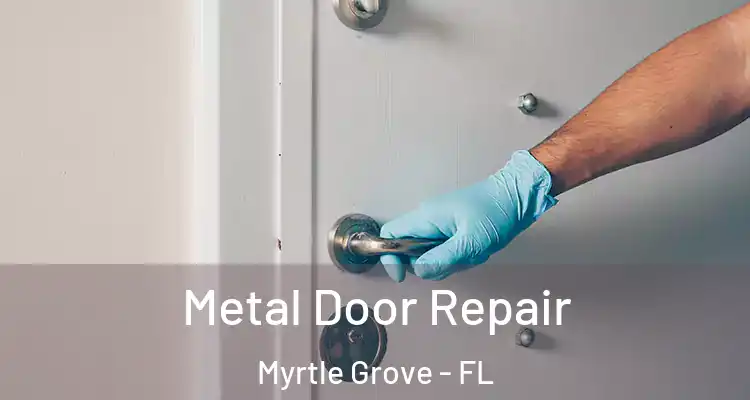  Metal Door Repair Myrtle Grove - FL